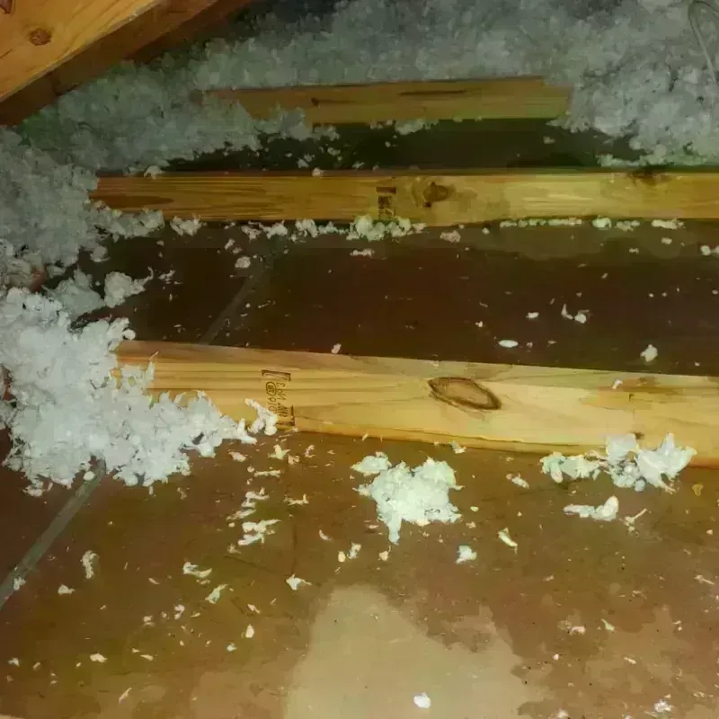 Attic Water Damage in Meridian, MS