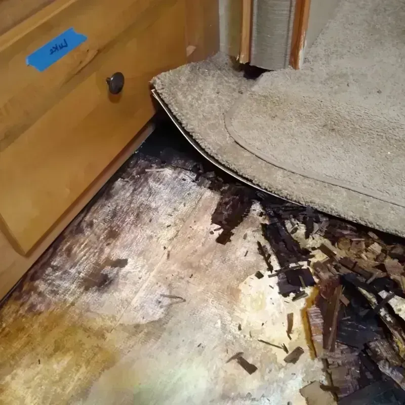 Wood Floor Water Damage in Meridian, MS